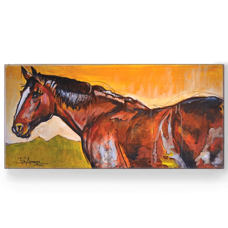 coloradoretailcollection-1979664