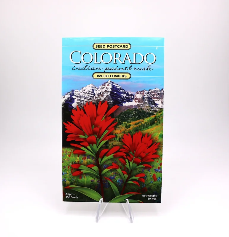 coloradoretailcollection-1986429