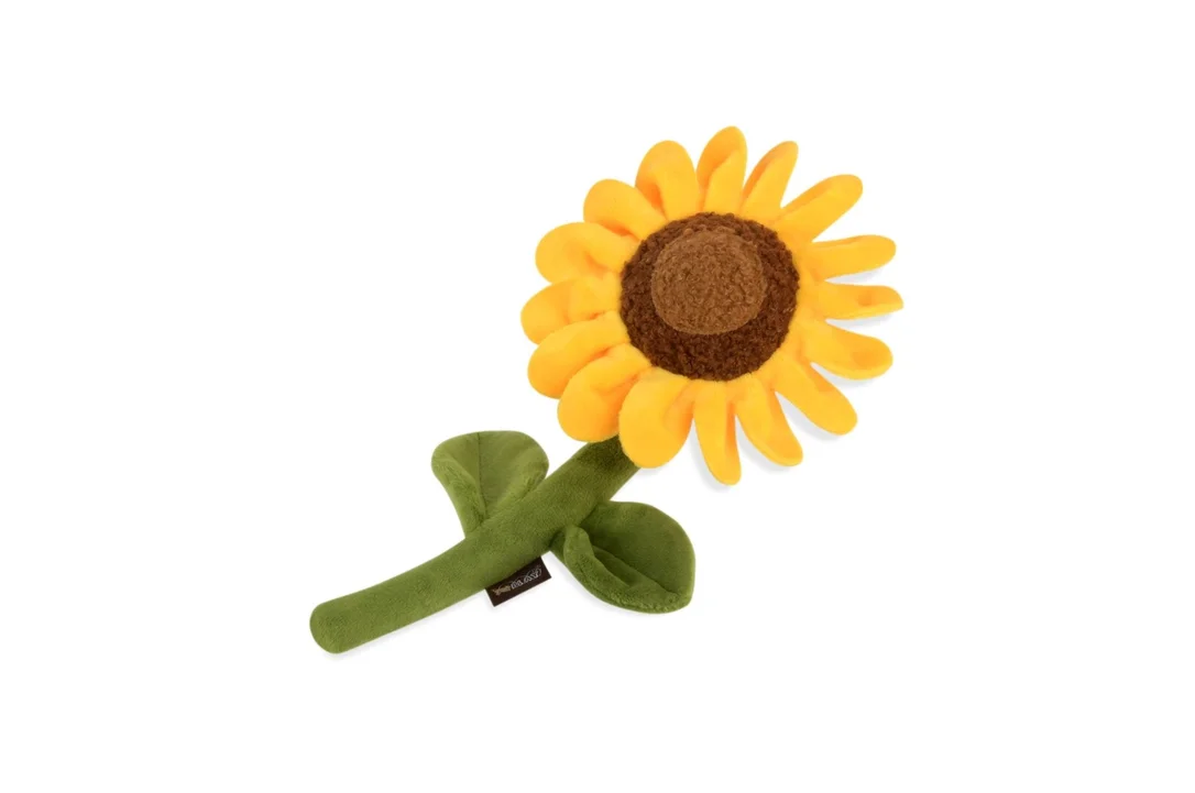dearjohnshop1979481