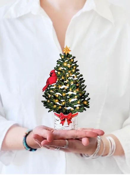 jennyk-1970540