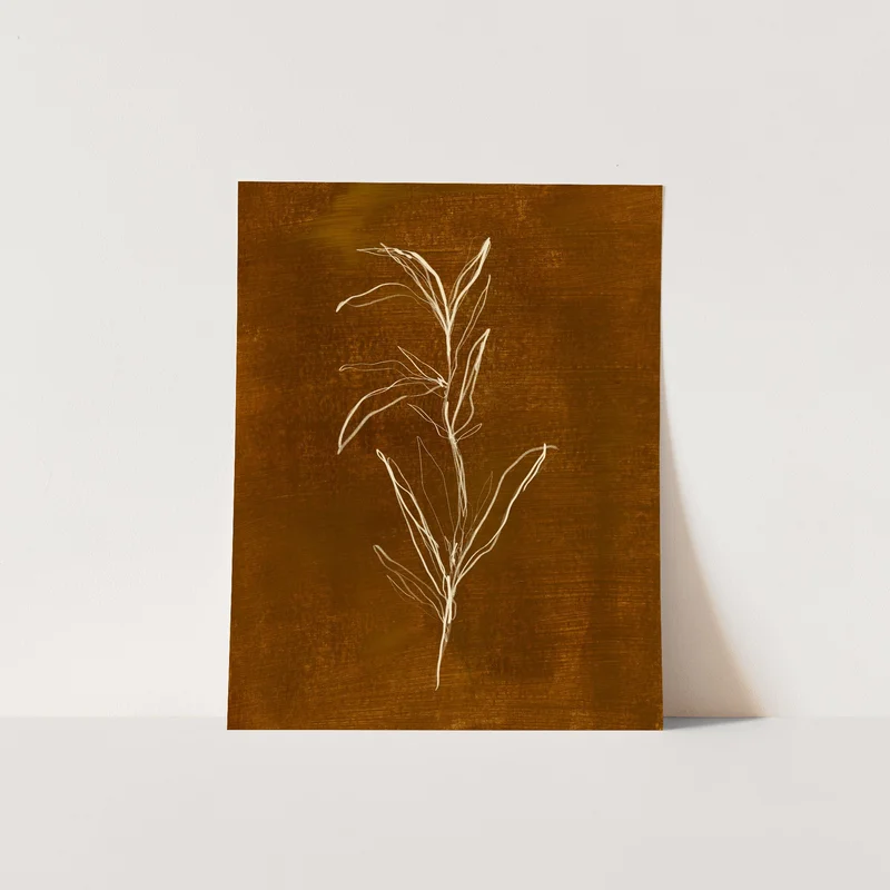 jettyhome2305082