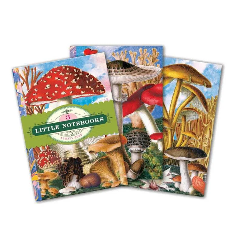 portgamblegeneralstore1944071