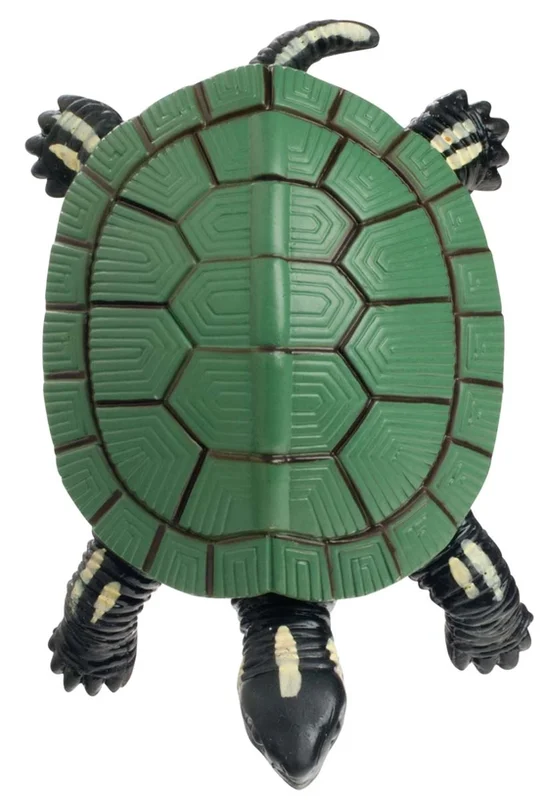 shoptherocket11950022