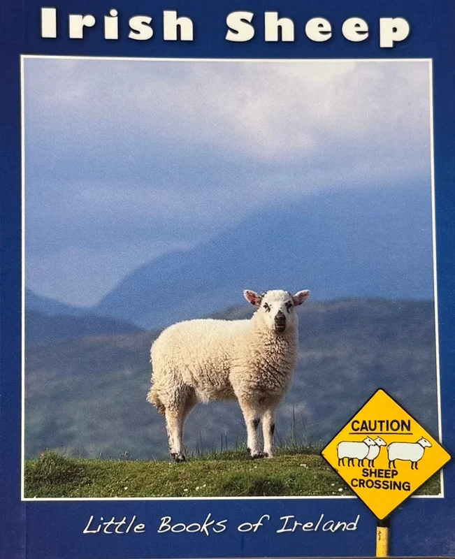 thecelticgiftstore1938868