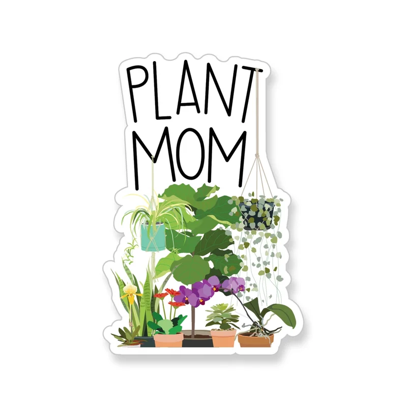 urbangeneralstore12181552