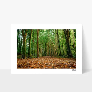 us.kilkennydesign-1964790